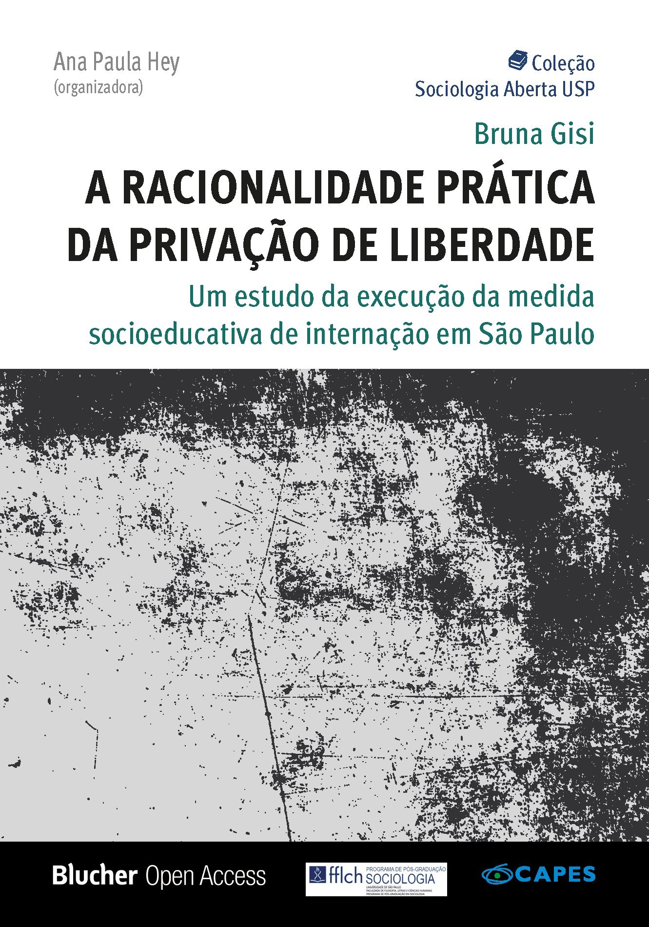 A Racionalidade prática da privação de liberdade
